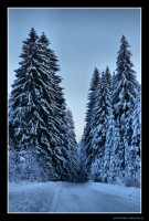 /album/fotogalerie-krajina/dsc02657dr-jpg/